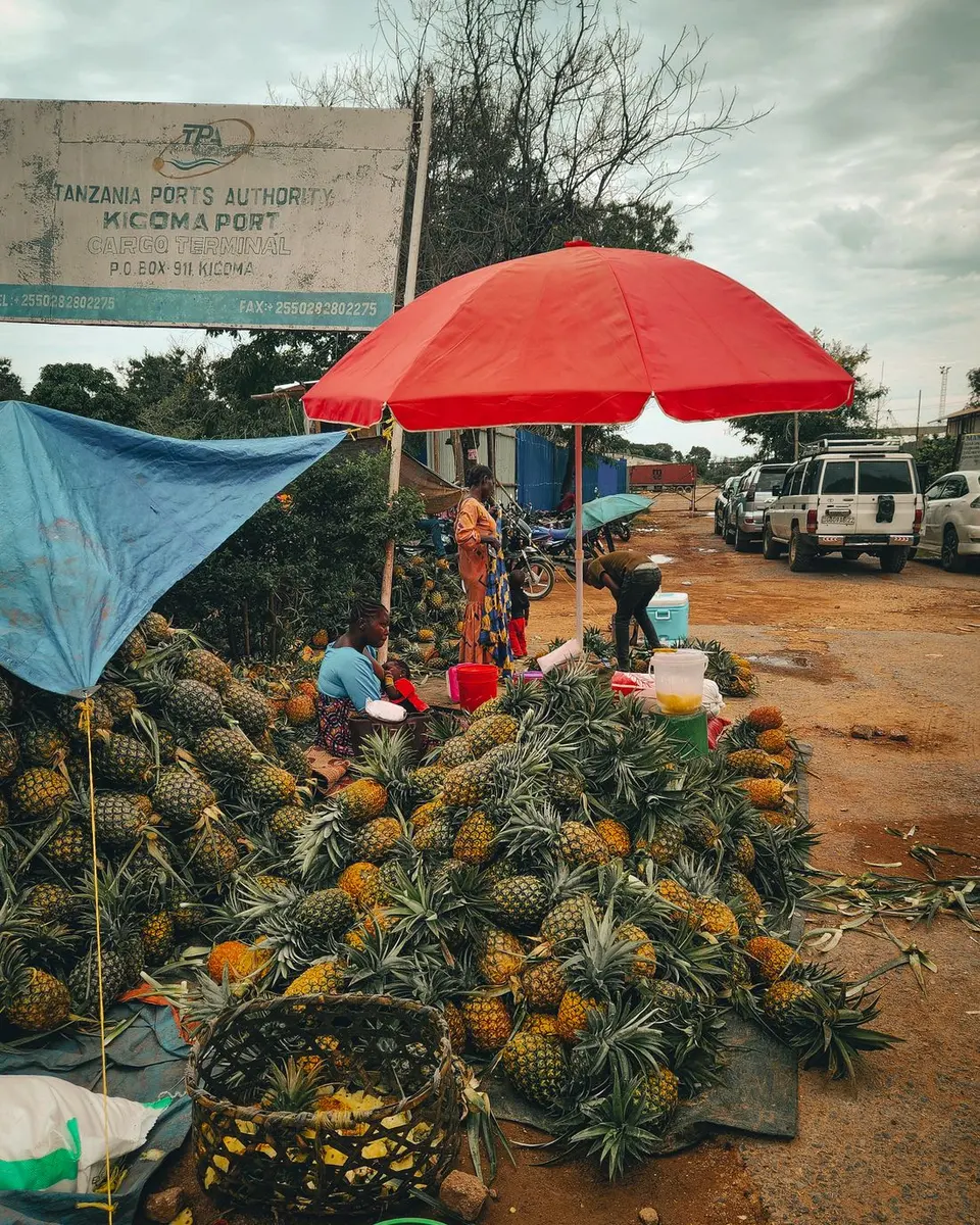 Pineapple traders and roadside commerce in Kigoma, Tanzania